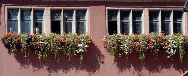 So kennen die Lahrer ihr Altes Rathaus... werden sie es auch bald wieder sehen.  | Foto: Michael Bamberger