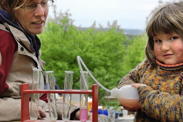 Naturschule am neuen Standort