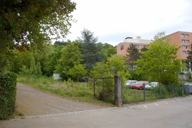 Gegenber dem Kreiskrankenhaus sollen 13 Einzelhuser entstehen.   | Foto: Gerhard Walser