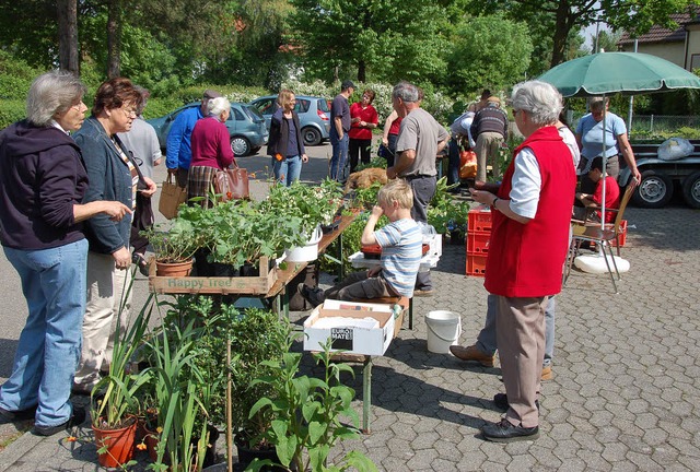 Eine Vielfalt an Pflanzen prsentierte...ger Landfrauen am vergangenen Samstag.  | Foto: Alfred Peter
