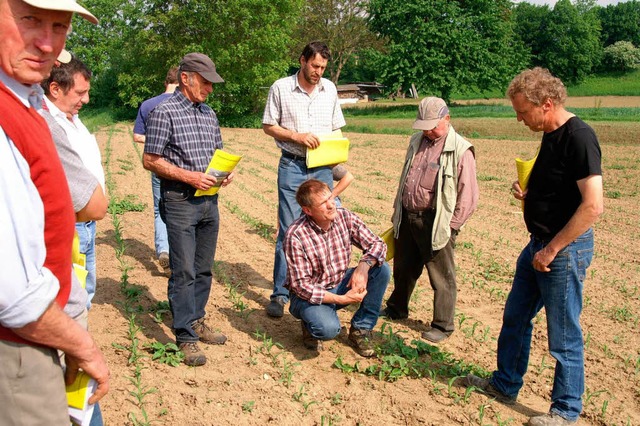 Fachleute vom Landwirtschaftsamt Hochb...die  Landwirte bei einer Feldbegehung.  | Foto: Hge