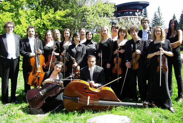 Das Kammerorchester der Bayerischen Philharmonie.  | Foto: veranstalter