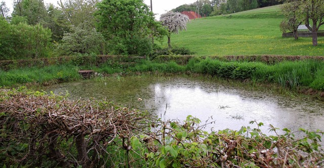 Undicht ist der Urberger Lschweiher, ...n Lschwassertank installiert werden.   | Foto: Christel Schuster-Stich