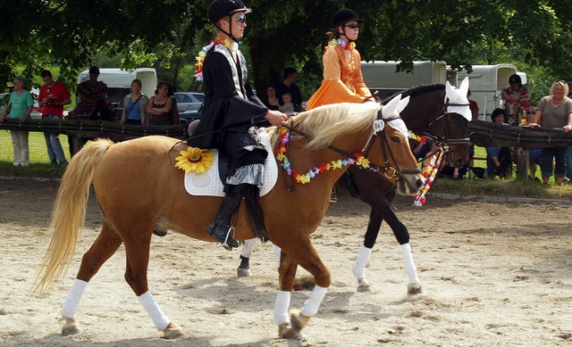 Reitturnier Kndringen  | Foto: Aribert Rssel