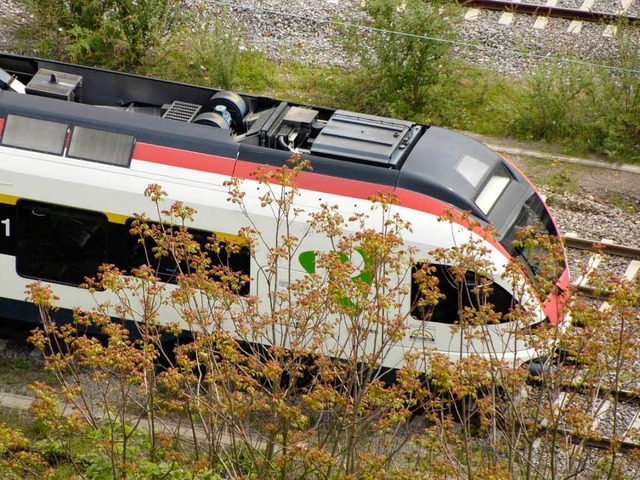 Die Lrracher S-Bahn ist Gegenstand von kontroversen Wahlkampfdiskussionen.  | Foto: Maja Tolsdorf