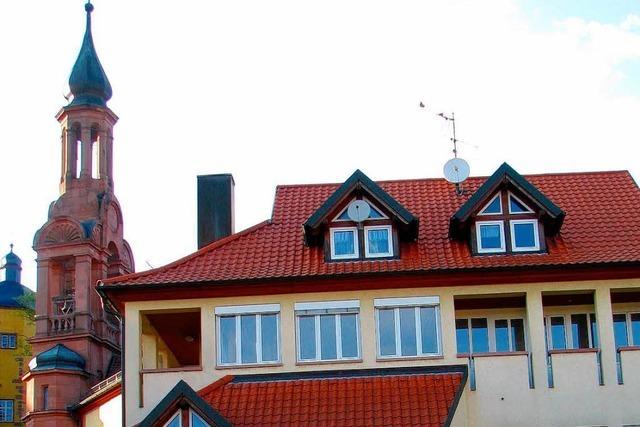 Wahl 2009: Die Kandidaten der CDU Mahlberg