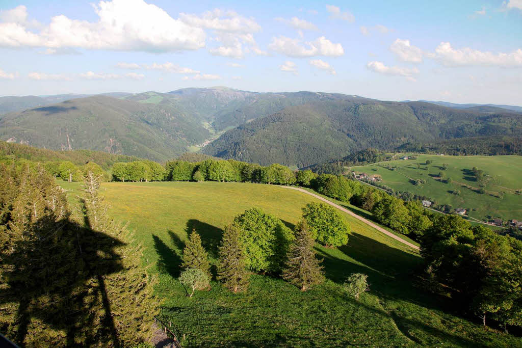 Blick hinber zum Feldberg.