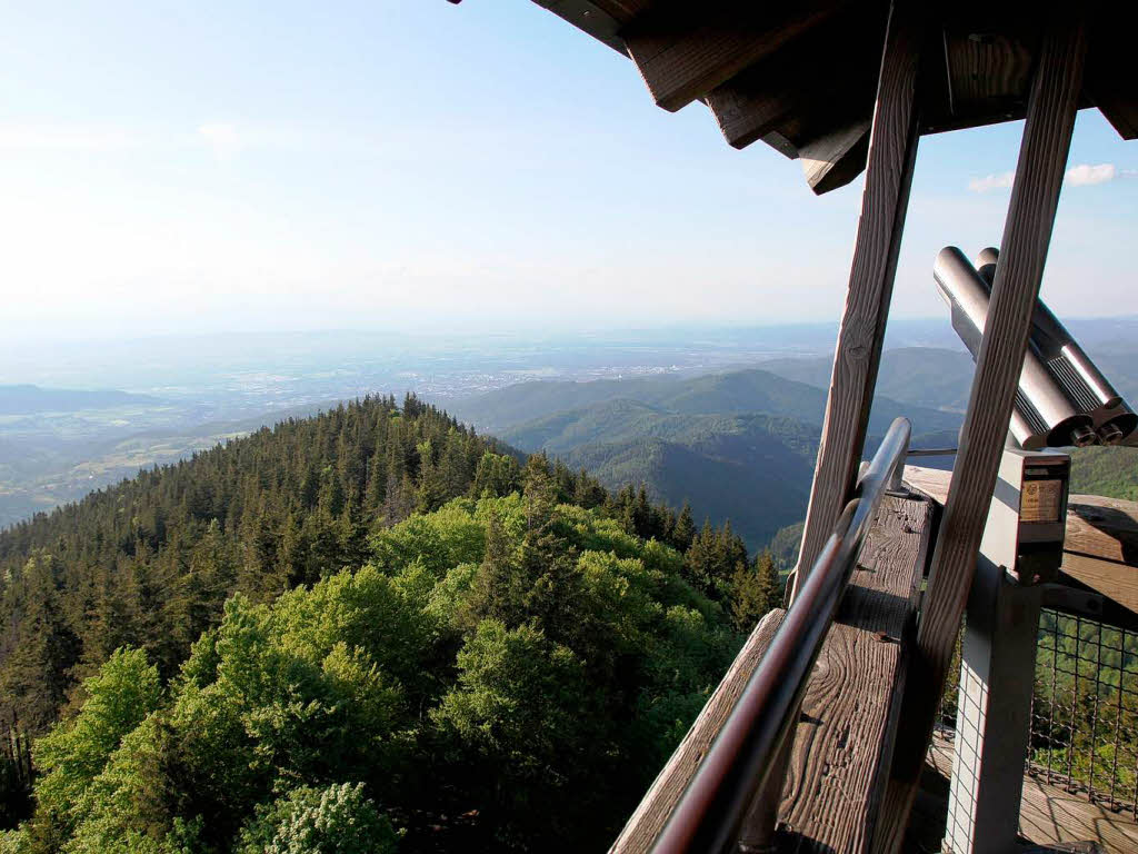 Fernsicht mit oder ohne Fernglas.