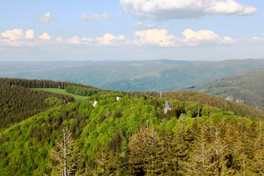 Versteckt im Wald: das Sonnenobservatorium.