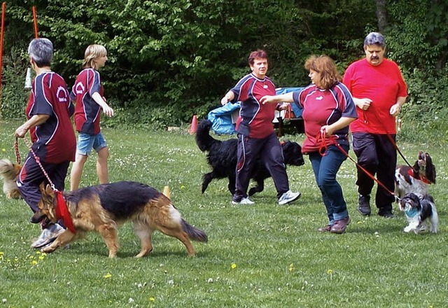 Viel Information rund um den Hund gab ...Tag der offenen Tr der Hundefreunde.   | Foto: Mann