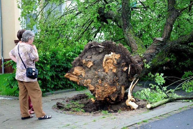 Unwetter ber Lahr und Schuttertal