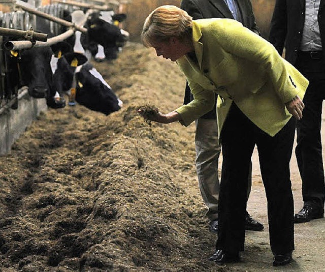 Merkel bei Milchproduzenten  | Foto: dpa