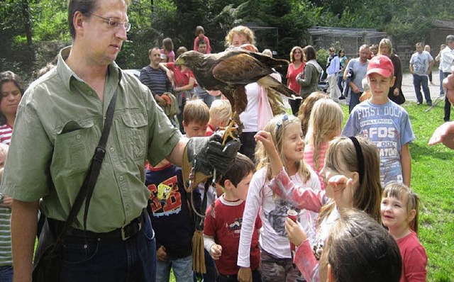 Greifvgel hautnah: Falkner Richard Se...20; bei einer Flugschau an Pfingsten.   | Foto: BZ