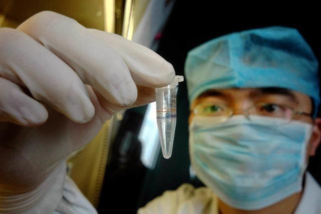 Schweinegrippe: Neuer Verdachtsfall in Gppingen