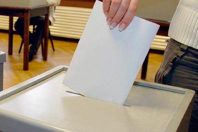 Wahl 09: Kandidaten der FDP Wehr