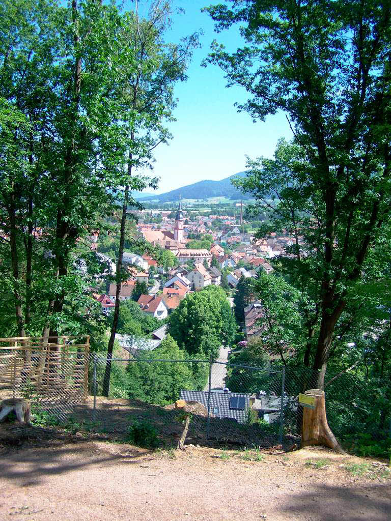 Blick vom Sinnesweg auf Waldkirch.