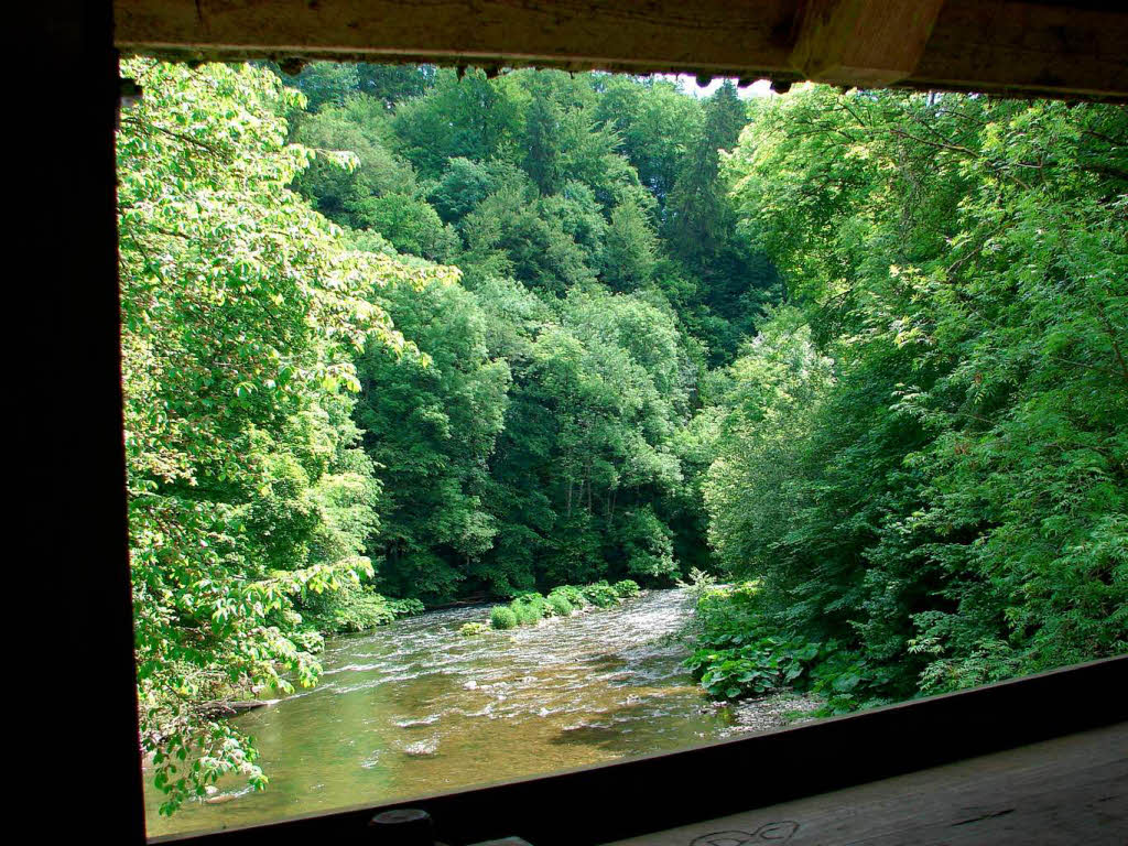 Bilderrahmen: Blick aus dem Kanadiersteg heraus auf die Wutach.