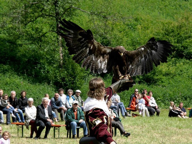 Falkner  Jean von Coppenrolle aus Tsch...eilige   Show mit   lockeren Sprchen.  | Foto: Chris Seifried