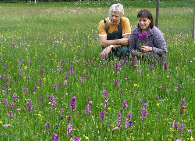 <Bildtext>Otmar und Hildegard Frei in ...leckte Knabenkraut freuen</Bildtext>.   | Foto: Liane Schilling