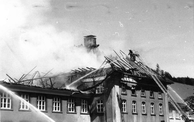 Der Grobrand richtet verheerenden Schaden an.  | Foto: BZ-Archiv