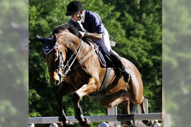 Satteln, reiten, absatteln - und aufs nchste Pferd