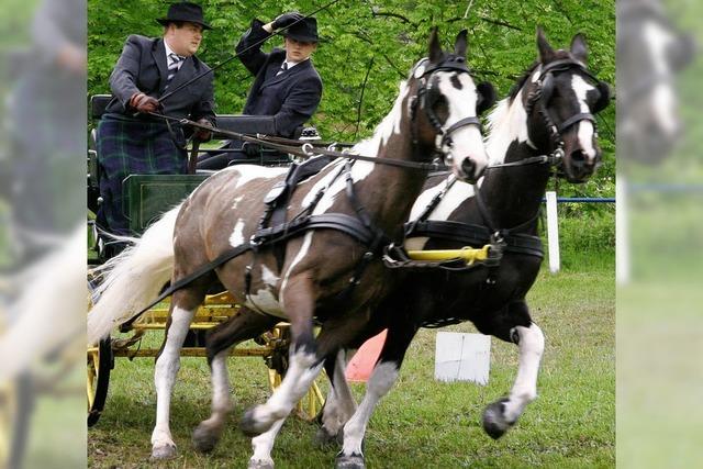 Mehr als 200 Starts beim Turnier in Altdorf