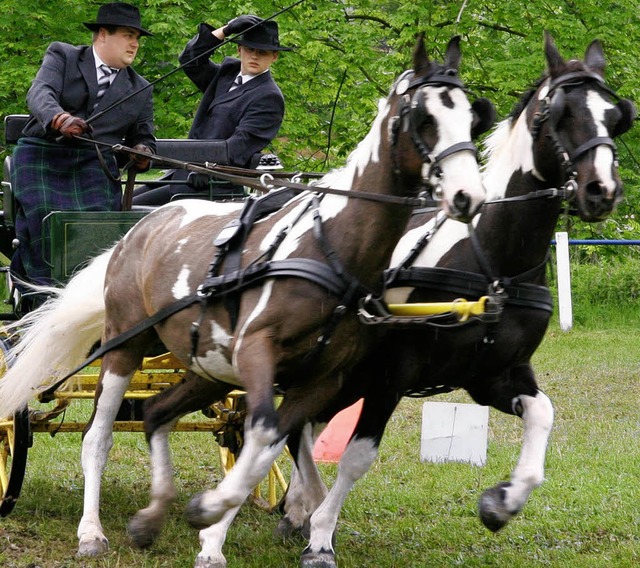 Ballance halten   gilt hier fr Mensch und Tier.   | Foto: dec