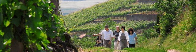 Spaziergang durch die  Weinbergterrassen rund um den Kaisersthler Vulkankegel  | Foto: Veranstalter