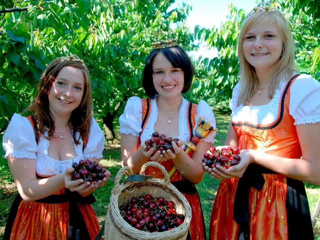 Kirschen erntefrisch vom Baum und char...chenhoheiten: Wer kann da widerstehen?  | Foto: Roland Vitt