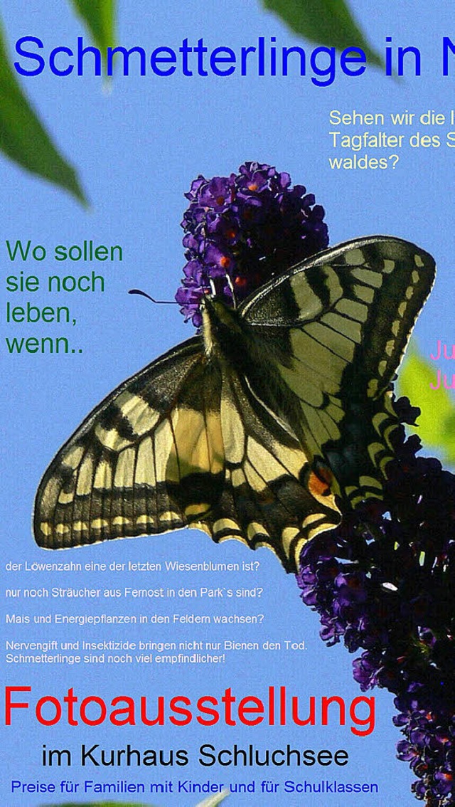Schmetterlinge in Not Ausstellung imKurhaus Schluchsee  | Foto: Privat