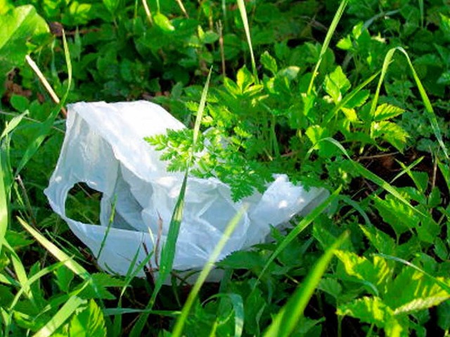 In der Umwelt braucht eine Plastiktte...  bis  1000 Jahre bis sie abgebaut ist  | Foto: privat