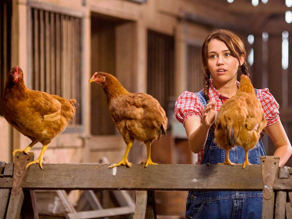 Hühnerstall statt großer Bühne: Miley ist zurück in ihrem Heimatdorf.  | Foto: ddp