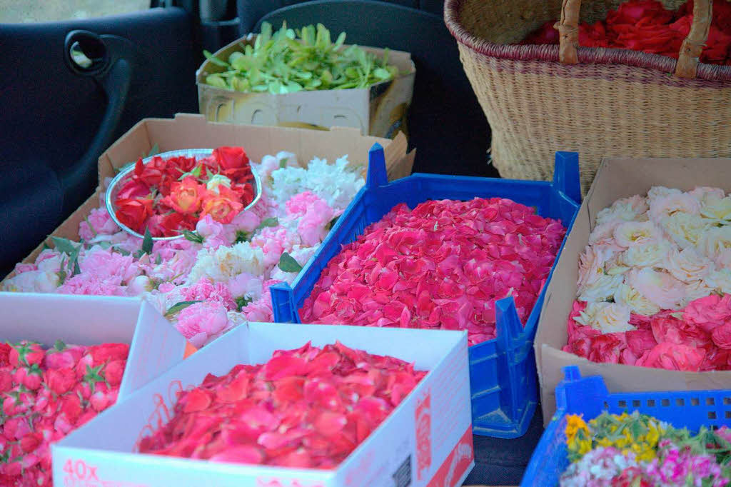Am Tag zuvor werden unzählige Blüten für den Blumenteppich gepflückt. Am Tag zuvor werden unzählige Blüten für den Blumenteppich gepflückt.