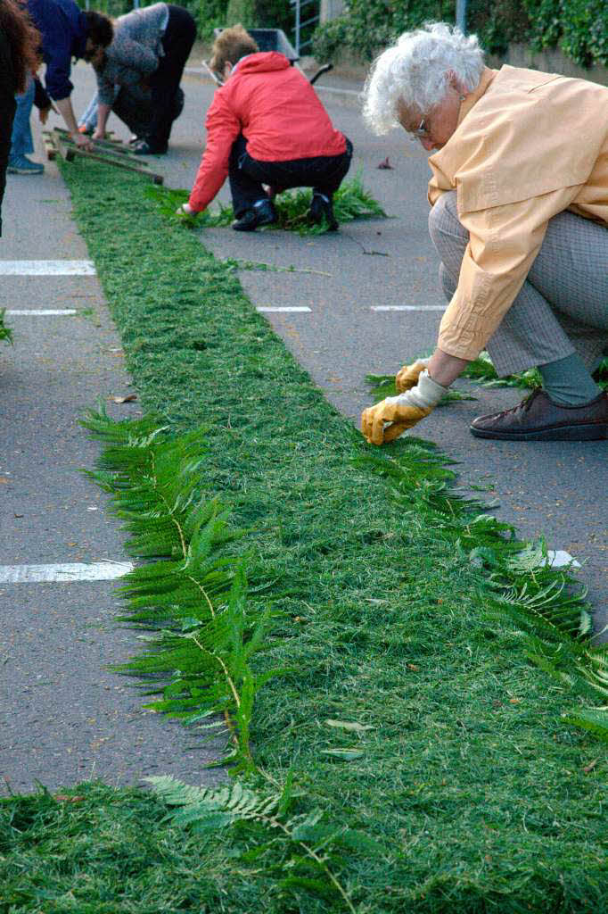 Zunächst wird ein Teppich aus Gras die Straße entlang gelegt: Circa zehn Frauen sind jedes Jahr ab 5.30 Uhr im Einsatz Zunächst wird ein Teppich aus Gras die Straße entlang gelegt: Circa zehn Frauen sind jedes Jahr ab 5.30 Uhr im Einsatz