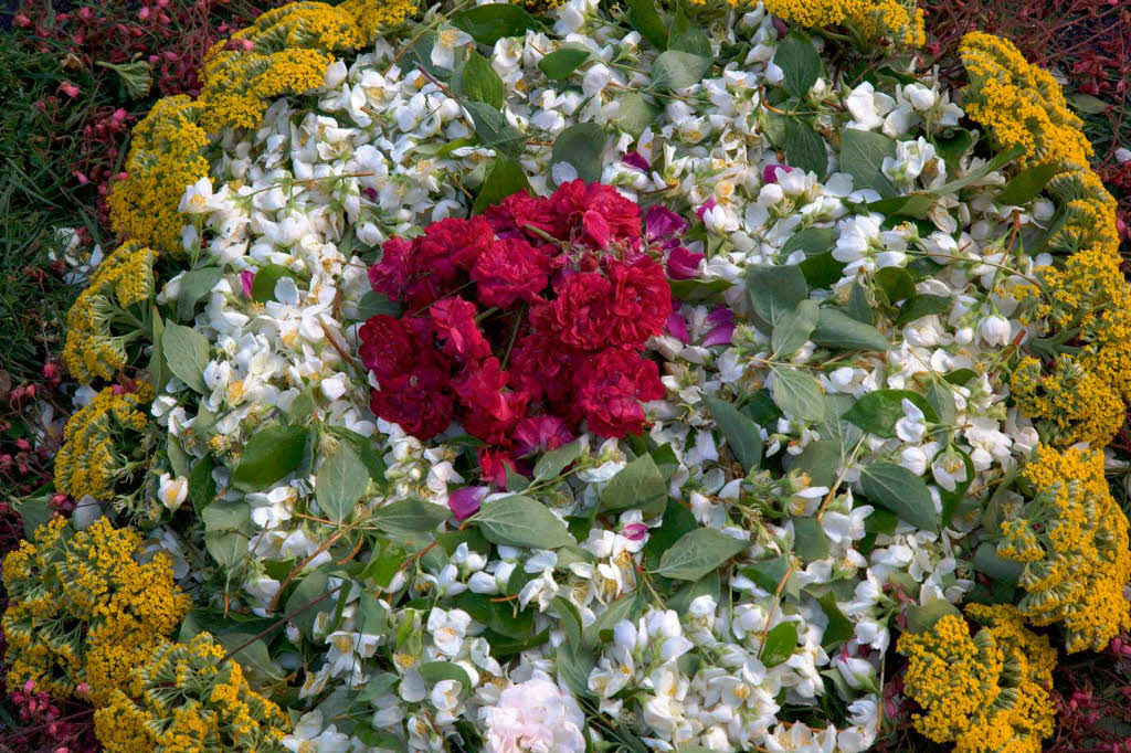 Der liebevoll gestaltete Blumenteppich ist nur bis zum Nachmittag zu bewundern. Um 17 Uhr wird schon alles wieder weggefegt. Der liebevoll gestaltete Blumenteppich ist nur bis zum Nachmittag zu bewundern. Um 17 Uhr wird schon alles wieder weggefegt.