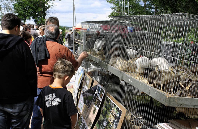 Kaufen und Verkaufen war angesagt beim...ndler und Kundschaft rundum zufrieden.  | Foto: Werner Schnabl