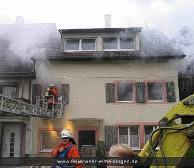 Auch das gibt es auf der Homepage der Feuerwehr Eimeldingen: Bilder von bungen.  | Foto: Feuerwehr