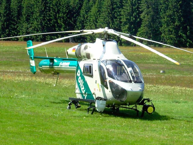 Ausgebxte Rinder mussten im Brental mit dem Hubschrauber gesucht werden.  | Foto: Tina Httich