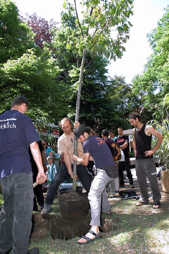 Baumspende fr den Park an der Schlettstadtallee.  | Foto: Bleyer