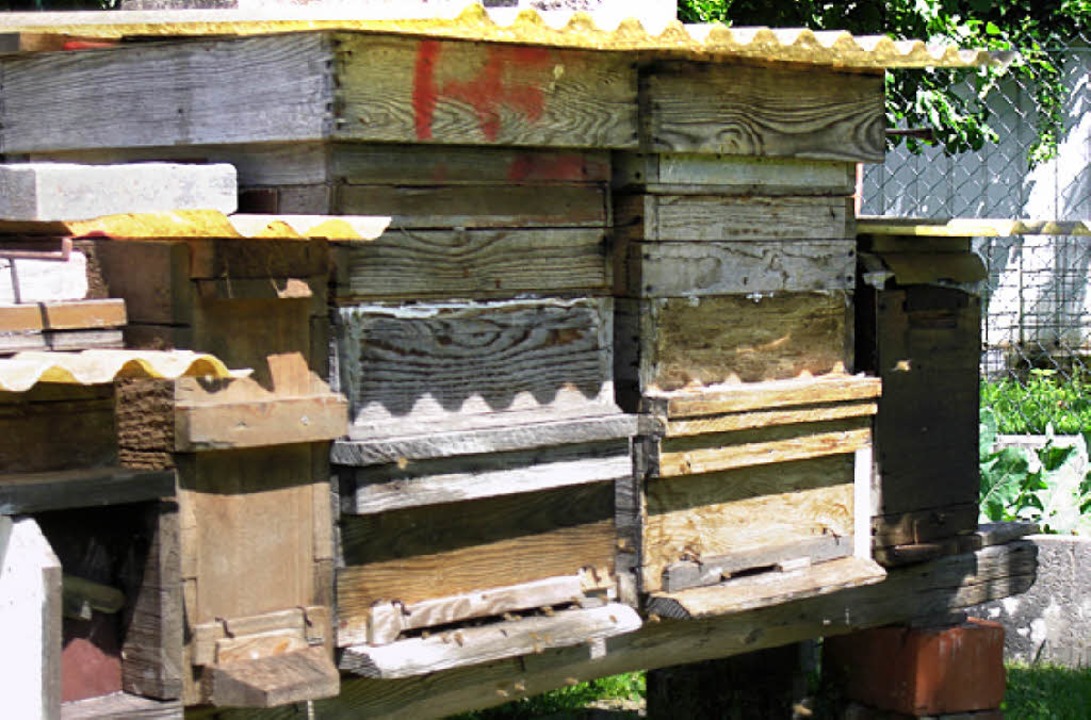 Klassischer Bienenstand  | Foto: Ulrike Le Bras