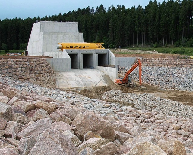 rckhaltebecken wolterdingen  | Foto: peter stellmach