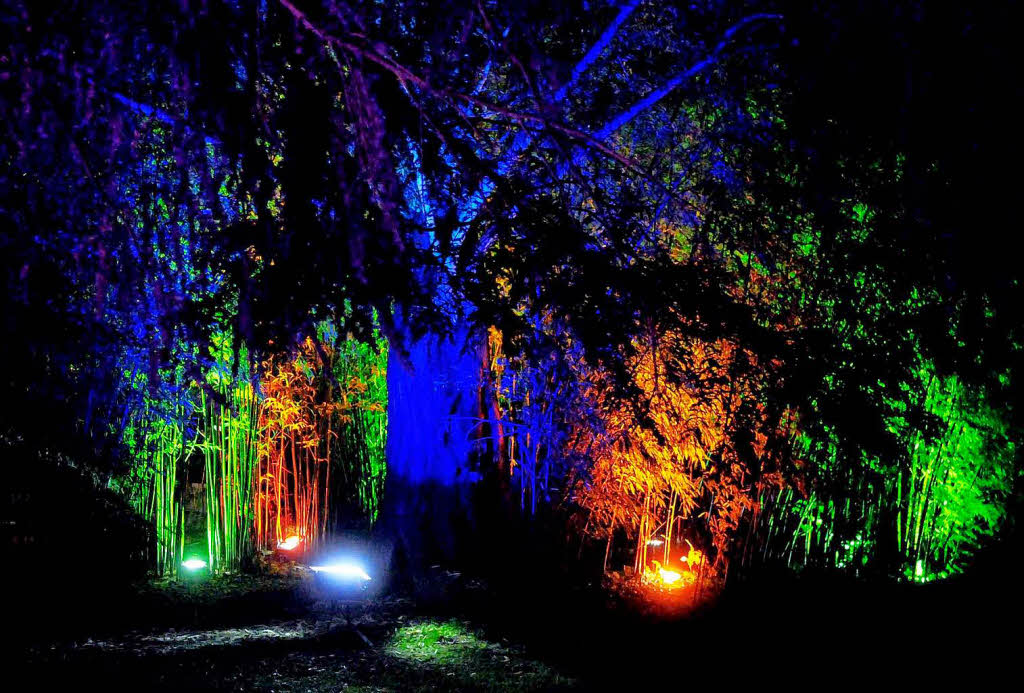 Abendliche Beleuchtung im Lahrer Stadtpark Abendliche Beleuchtung im Lahrer Stadtpark