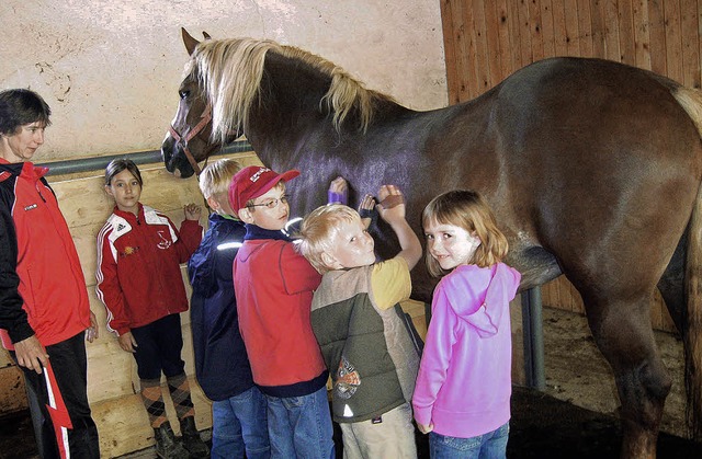 Nicht nur streicheln, auch striegeln d...klerhof&#8220; in Prechtal-Fissnacht.   | Foto: Kindergarten