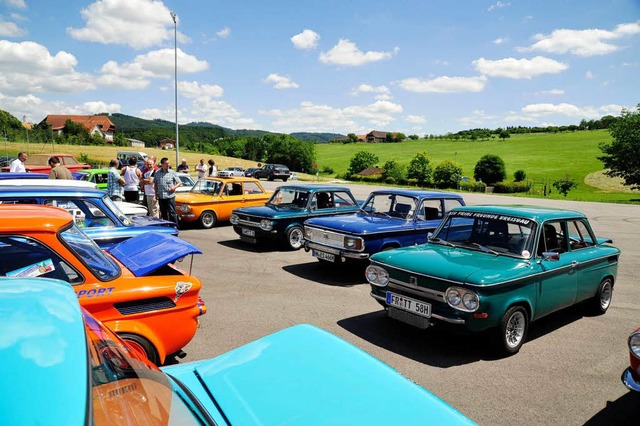 &#8222;Wlderporsche&#8220; auf dem MSRT-Gelnde  | Foto: Dieter Erggelet