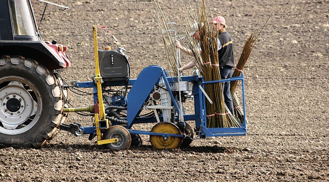 Maschinelle Bepflanzung durch eine Spe... wurden die Weidenstcke ausgebracht.   | Foto: Kurt Meier