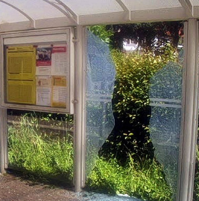 Diese Scheibe am Bahnhof wurde zertrmmert. Zeugenhinweise werden gesucht.   | Foto: Bundespolizei