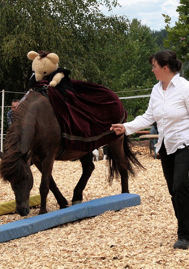 <Bildtext>Anna-Maria Stlpnagel</Bildt...&#8222;Ein Teddy lernt reiten&#8220;.   | Foto: Luisa Denz