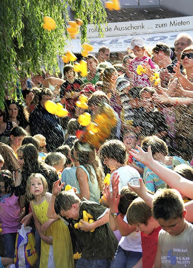 Nach dem Rennen: Freiflug  der Enten  | Foto: erika sieberts