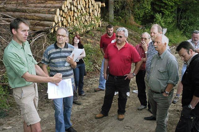 Pfaffenberger Wald: Tiefe Spuren der modernen Holzernte