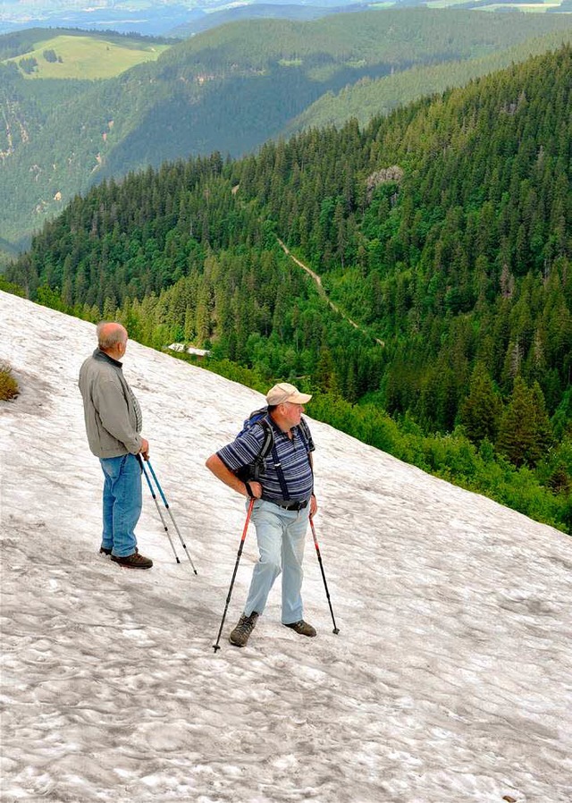 Blick vom Schneebrett auf grne Hgel: ein Feldberg-Erlebnis im Juni.  | Foto: dpa